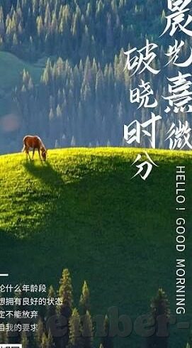 足球比分捷克杯-捷克杯烽火再燃，足球比分背后的激情与荣耀